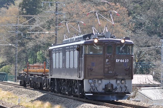 s-DSC_2551.jpg