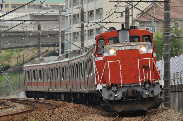 s-DSC_3680.jpg