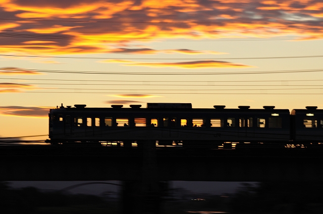 s-DSC_4800.jpg