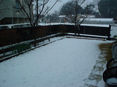 DSC00127.JPG