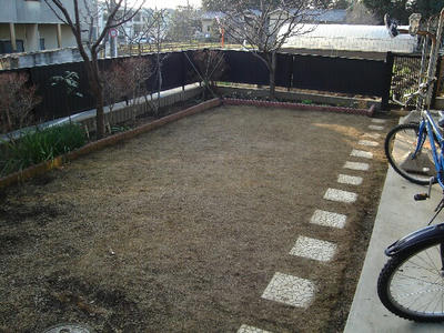 DSC02081blog.jpg