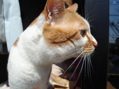 DSC02112.JPG