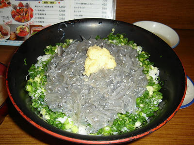 DSC02171.JPG
