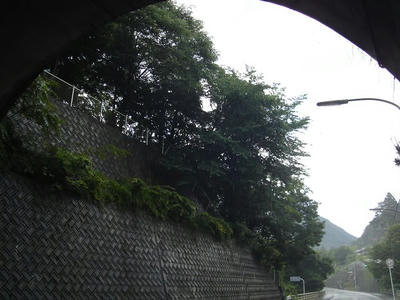 DSC02373.JPG