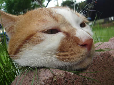 DSC02414.JPG