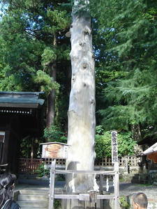 DSC02525.JPG
