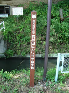 DSC02486.JPG