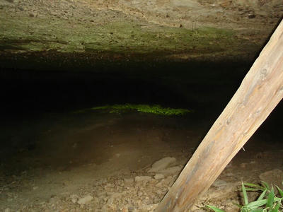 DSC02485.JPG