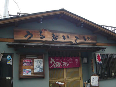 DSC02555.JPG
