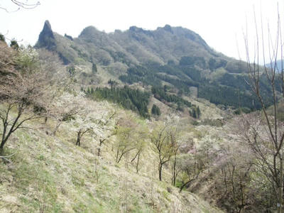 P4190705.JPG