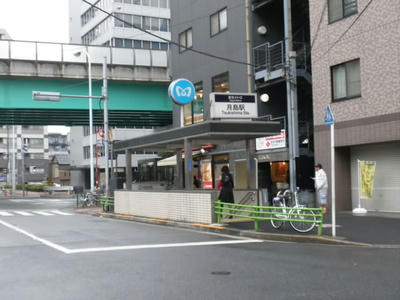 PA250853.JPG