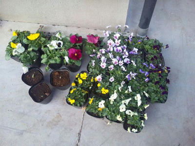 DVC00247_R.JPG