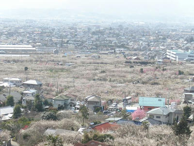 P2272871_R.JPG