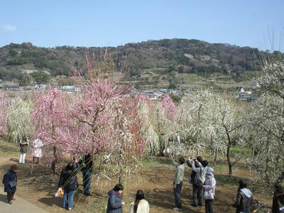 P2272853_R.JPG