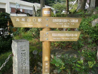 P8133234.JPG