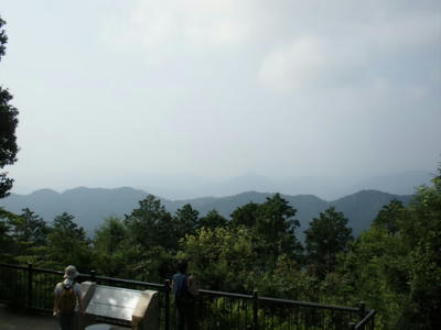 P8133242.JPG