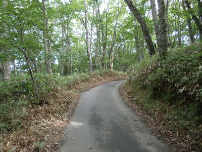 P8264994_R.JPG