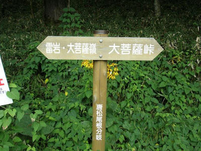 P8264998_R.JPG