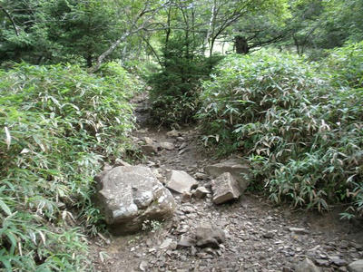 P8265036_R.JPG