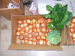 DSCF6440.JPG