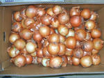 DSCF6441.JPG
