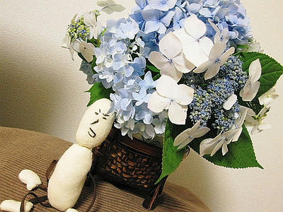 衝動買いした紫陽花