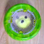 ライオンくん　フタ