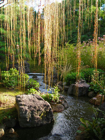 DSCN1902.JPG