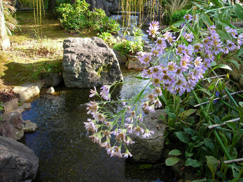 DSCN1899.JPG