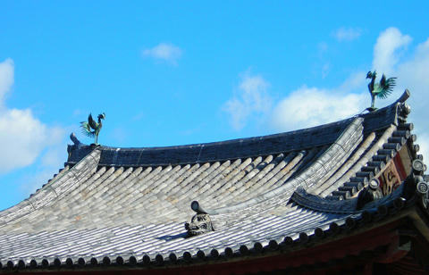 DSCN1883.JPG
