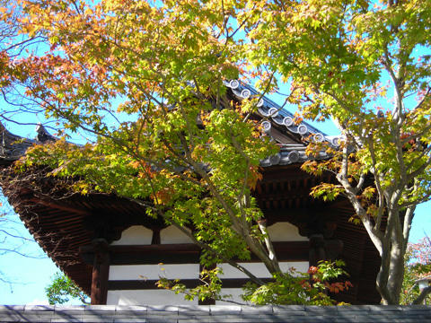 DSCN1877.JPG