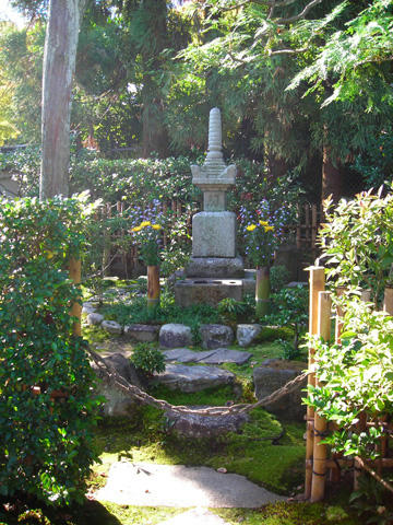 DSCN1872.JPG