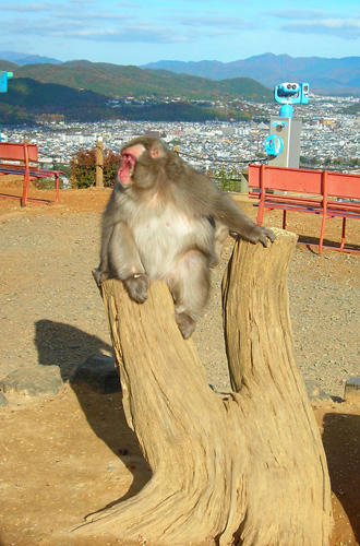 DSCN2041.jpg