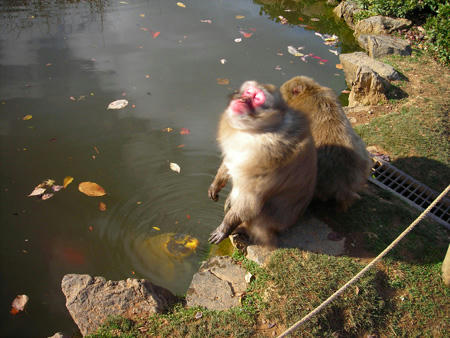 DSCN2039.jpg