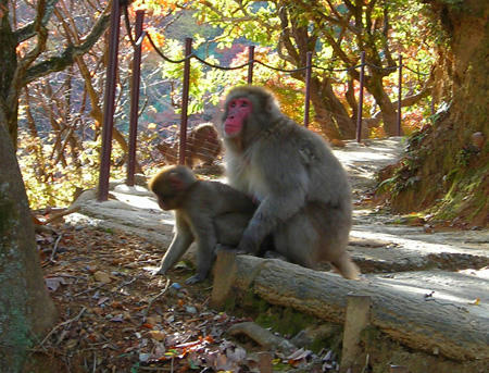 DSCN2027.jpg