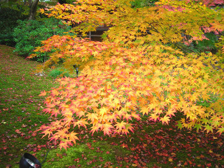DSCN2005.jpg