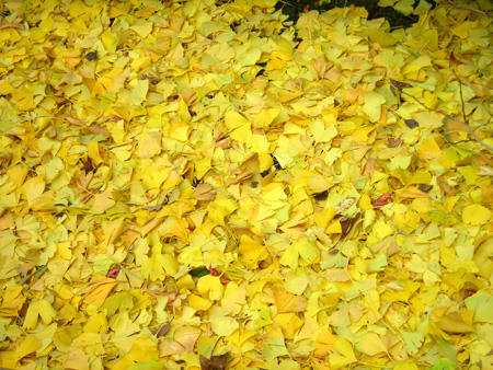 DSCN1993.jpg
