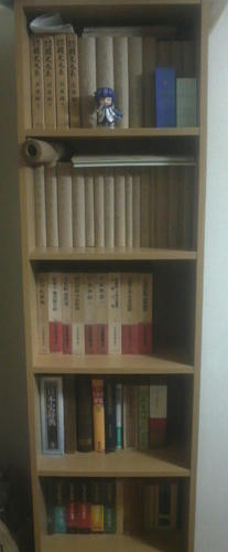 2010122221080000.JPG