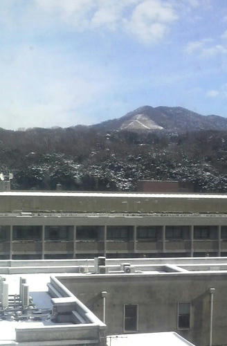 2011010112190000.JPG