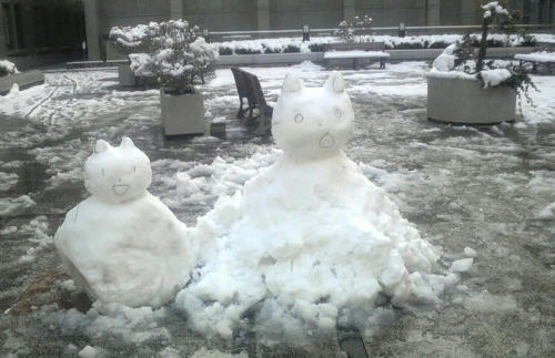 2011010112150000.JPG