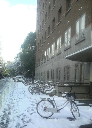 2011010112110000.JPG