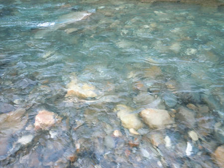 DSCN0156.JPG