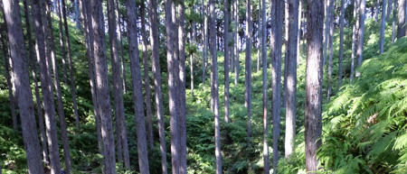 DSCN0129.JPG