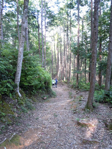 DSCN0127.JPG