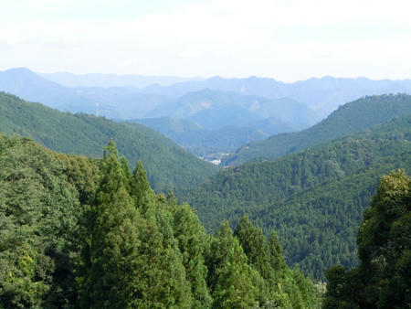 DSCN0124.JPG