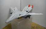 am-14.jpg