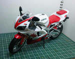 R1-21.jpg