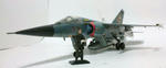 f1-27.jpg