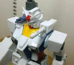 heg-17.jpg