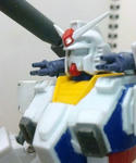 heg-42.jpg